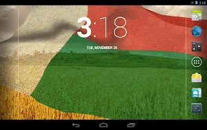 Madagascar Flag Screenshot 3