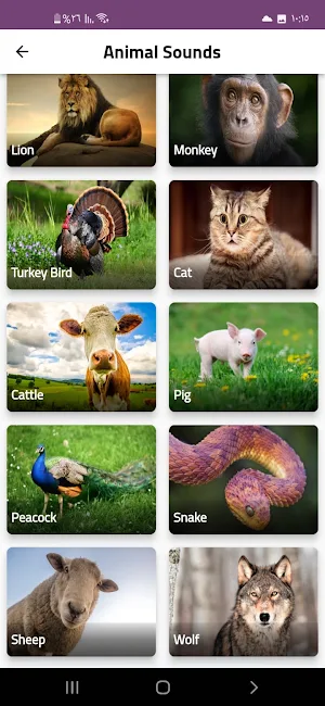 Animal sounds in nature Screenshot 0