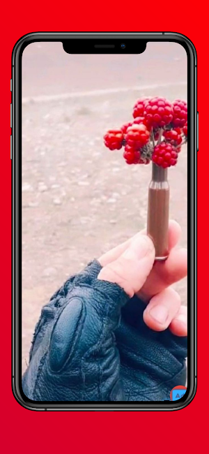 Army Wallpapers2 Screenshot 0