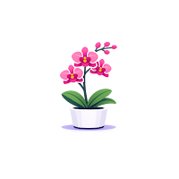 My Orchids