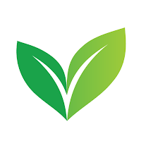 Vegetarian Recipes Healthy