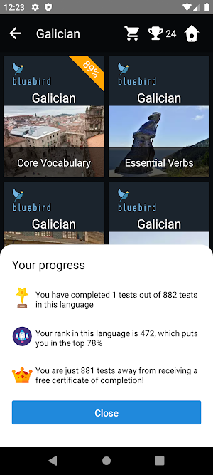 Galician Language Tests Screenshot 2