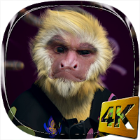 Dance Monkey 4K Live Wallpaper