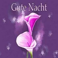 Gute Nacht Bilder Und Gif 2020