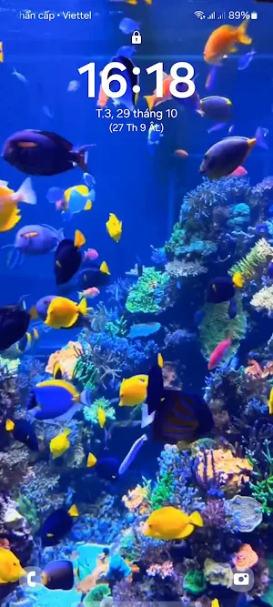 4D Fish Tank Live Wallpaper screenshot 7
