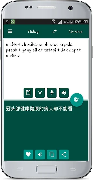 Malay Chinese Translate Screenshot 1