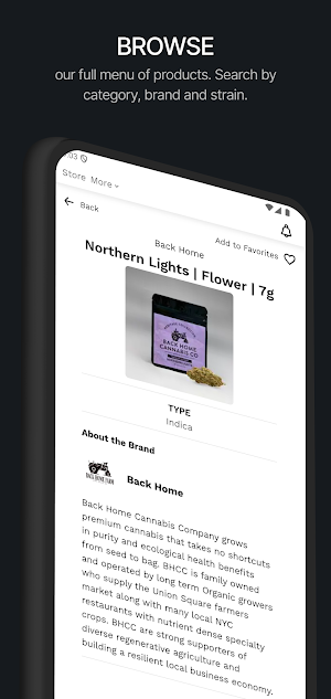 East Leaf Screenshot 3