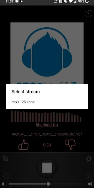 Radio Liberland FM Screenshot 1