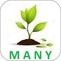 MANY