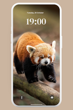 Kawaii Red Panda Wallpaper 4K Screenshot 2