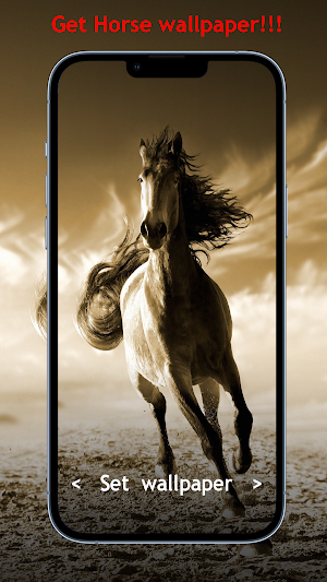 Horse Wallpaper Screenshot 1