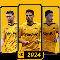 Wolverhampton Wallpaper 2024