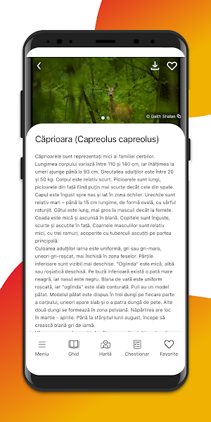 EkoApp Moldova by HumanDoc Screenshot 2