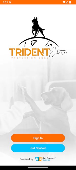 Trident Elite Screenshot 0