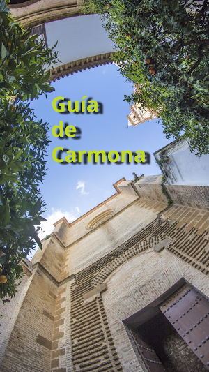 APP CARMONA OFICIAL Screenshot 0
