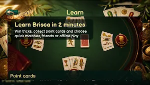 BriscaCard English Screenshot 3
