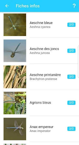 Libellul'ID Screenshot 2