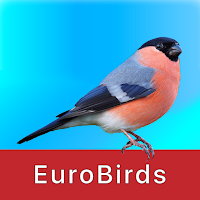 Birds of Europe