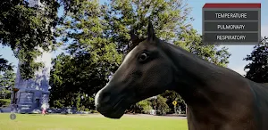Trot To Trophy 2: TPR AR Screenshot 1