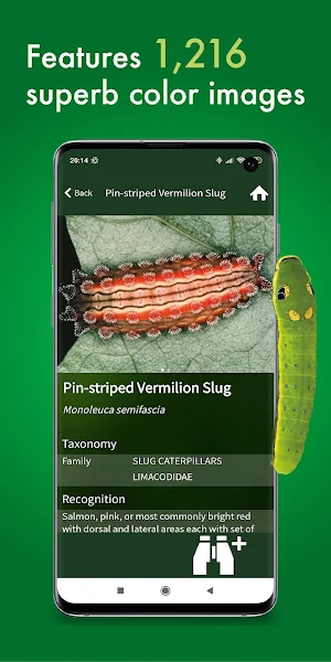 Caterpillar Id USA East Coast Screenshot 2