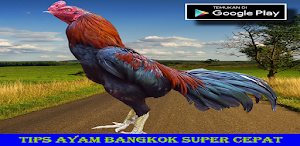 Tips Ayam Bangkok Super Cepat Screenshot 0