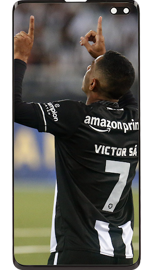 Botafogo Wallpapers Screenshot 1
