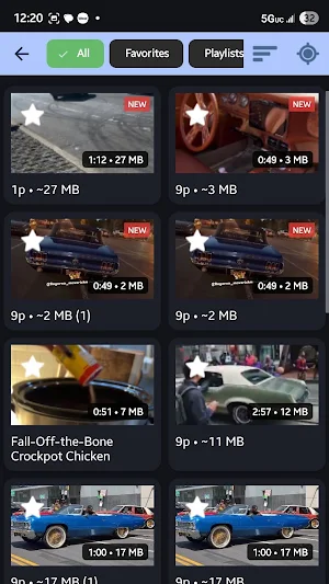 Seam Video Downloader Screenshot 3