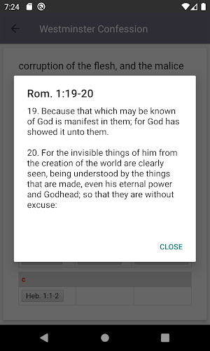 The Westminster Confession of Faith. Screenshot 3