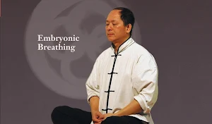 Embryonic Breathing Qigong Screenshot 0