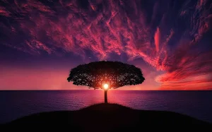 Amazing wallpapers Screenshot 0