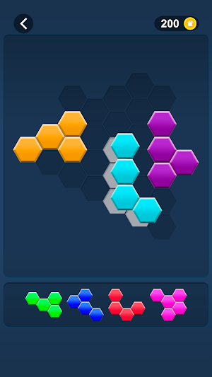 Hex Fill Block Screenshot 1