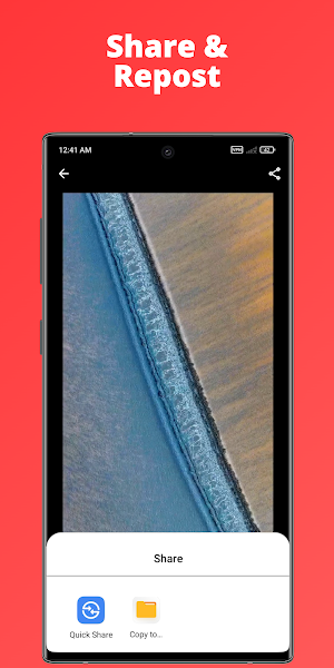 BlackHole InSave Repost Screenshot 3