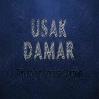 Uşak Damar FM