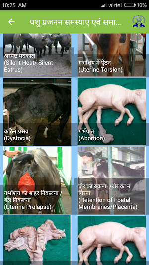 IVRI-Animal Reproduction App(पशु प्रजनन) Screenshot 3