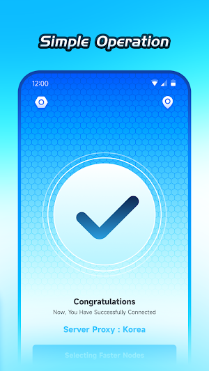 Varspeed VPN - Fast&Privacy Screenshot 2