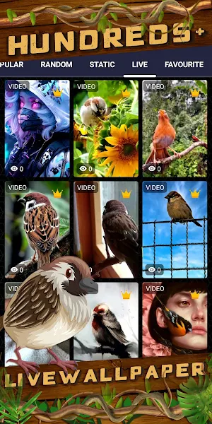 sparrow wallpaper Screenshot 2