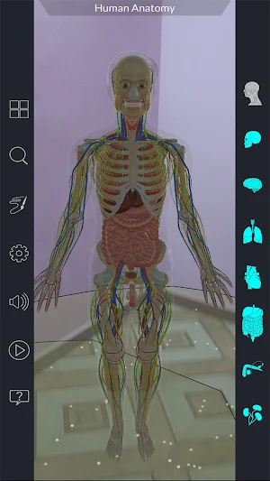 Ar Human Anatomy Screenshot 2