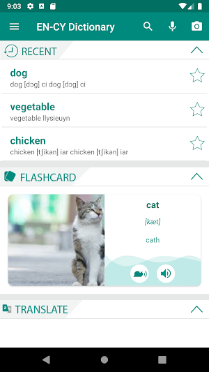 Welsh English Dictionary Screenshot 0