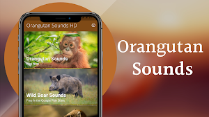 Orangutan Sounds Screenshot 1