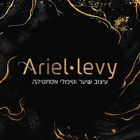 Ariel levy