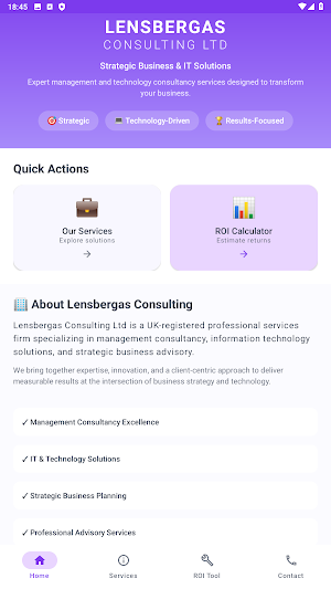 Lensbergas Consulting Screenshot 1