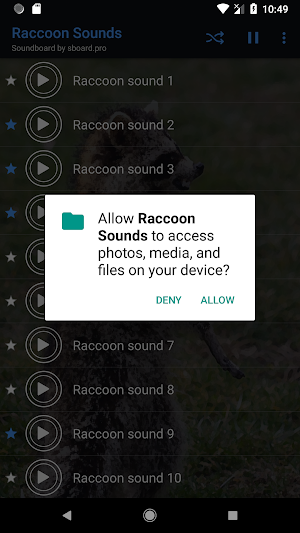 Raccoon Sounds ~ Sboard.pro Screenshot 1