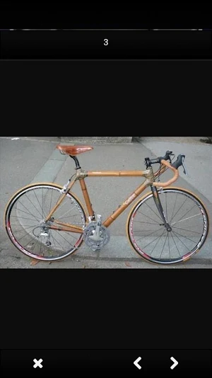 Bamboo Bicycle Designs Screenshot 0