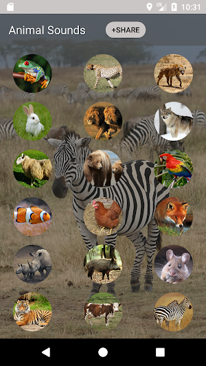 Animal sounds and Ringtone Screenshot 1