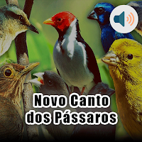 Novo Canto dos Pássaros