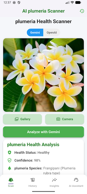 AI Plumeria Scanner Screenshot 3