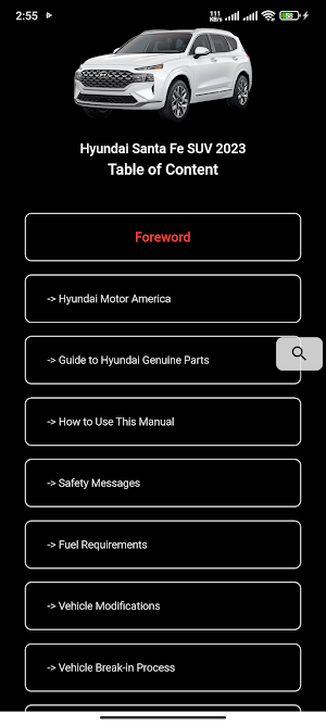 Hyundai Santa Fe User Manual Screenshot 1