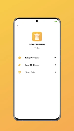 ION Cleaner Screenshot 3