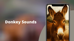 Donkey Sounds Screenshot 0