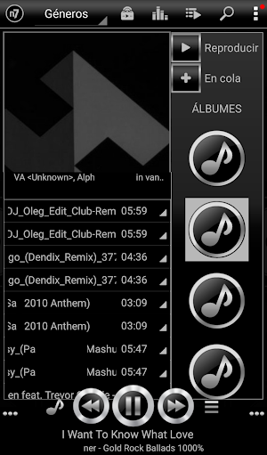 SKIN for N7PLAYER BLACK SILVER Screenshot 2